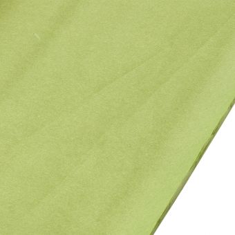 Moss Tissue Paper Sheets (Pack of 240)