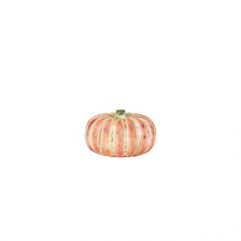 Field Pumpkin - 12cm