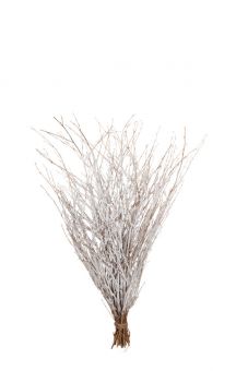Winter Branches Flocked - White - 85cm