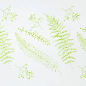 Ferns Frosted Film Roll