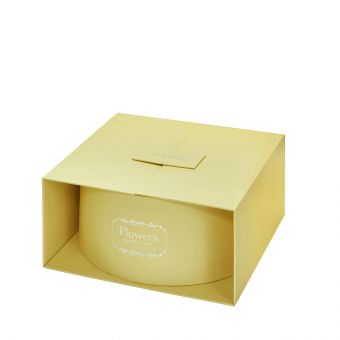 Alice Lined Surprise Box - Yellow