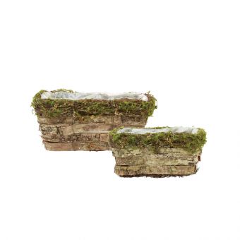 Brianna Mossed Lined Trough (Set of 2)