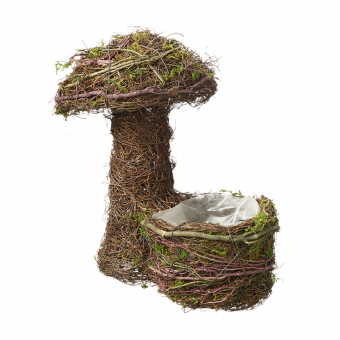 Wetlands Mushroom with Lined Pot
