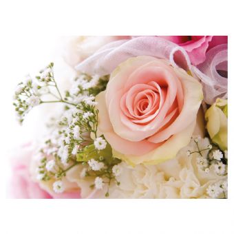 Pink Rose and Gypsophila (Pack of 25)