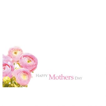 Happy Mothers Day Pink Ranunculus (Pack of 50)