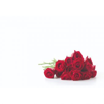 Red Rose Bunch (Pack of 50)