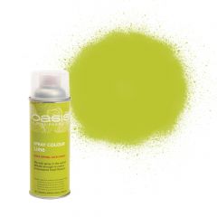 OASIS® Lime Spray Colour Paint 400ml
