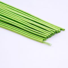 Curly Wire - Apple Green - 25cm (Pack of 20)