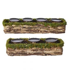 Mossy Trail Candle Holder