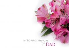 In Loving Memory of a Dad - Pink Alstroemeria Large Remembrance Card 