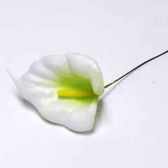 Cally Lily-White (Pack of 100)