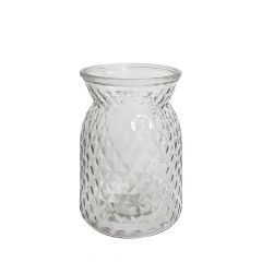 Emily Glass Vase - Clear - 16cm