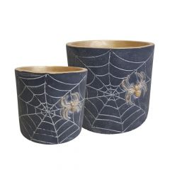 Spiders Web Pot