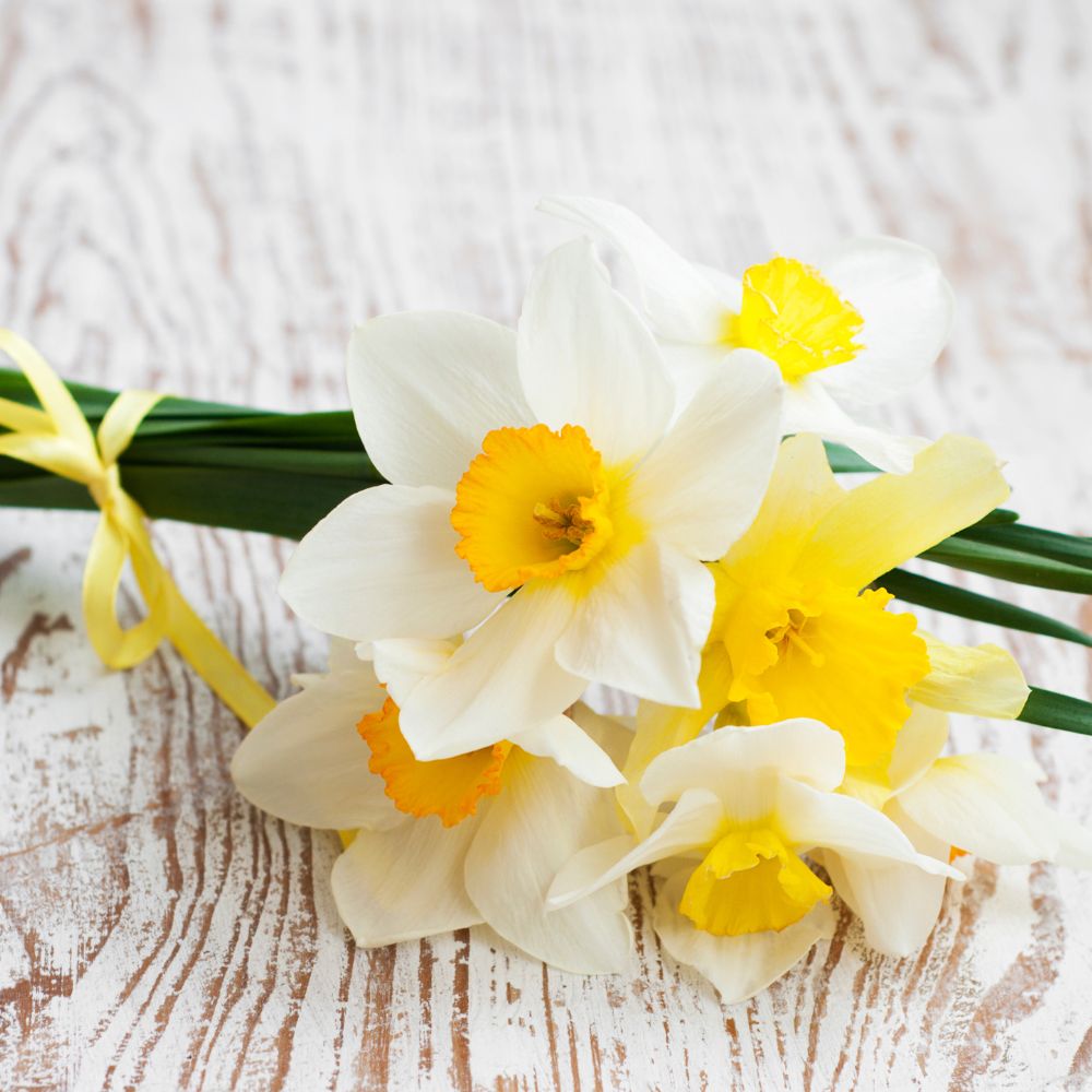 The Best Easter Flowers and their Meanings